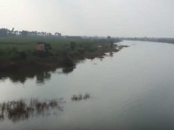 4 பேர் கொண்ட ஆய்வுக்குழு 