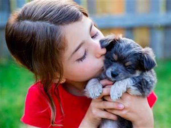 பொருளாதாரம் 