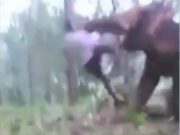 ஃபேஸ்புக்கில் லைவ் 