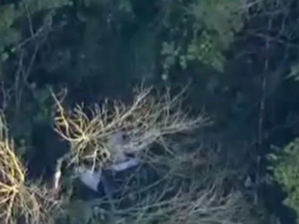  வேட்ஸ்டன் மேனரில் இல்லை 