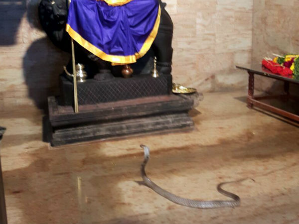 மெய்சிலிர்த்த பக்தர்கள் 