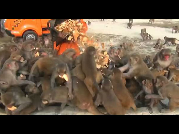 உலகம் முழுக்க வைரல் 