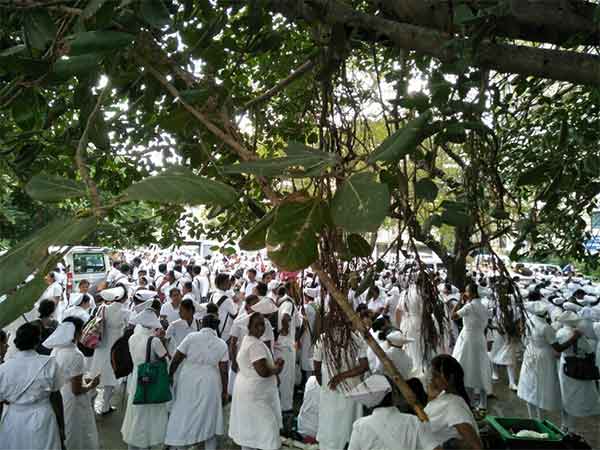 பொதுமக்கள் அவதி 