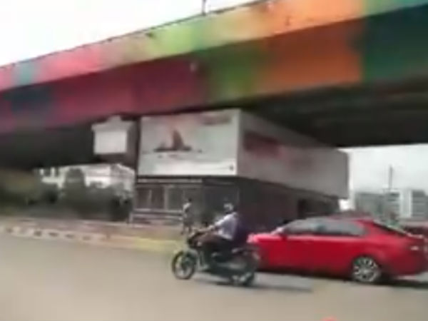 தெரு நாய்களுக்கு விஷம் 