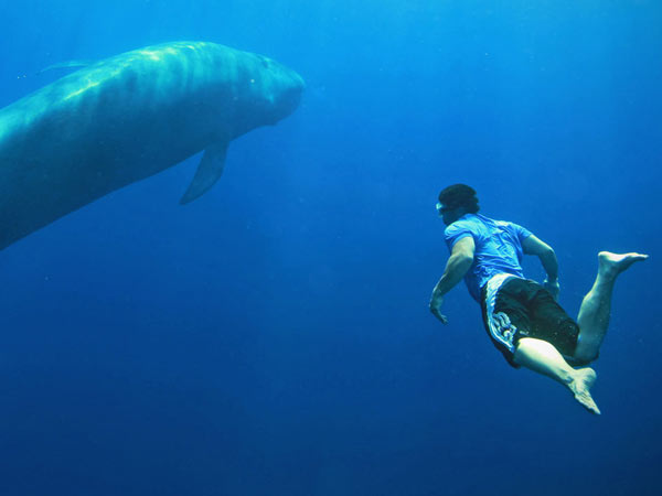 துன்புறுத்தும் பட்டதாரி மகன் 