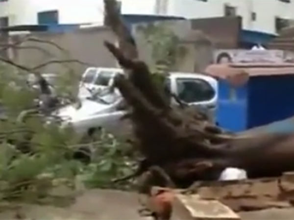 இரவு முதல் பலத்த காற்று, மழை 