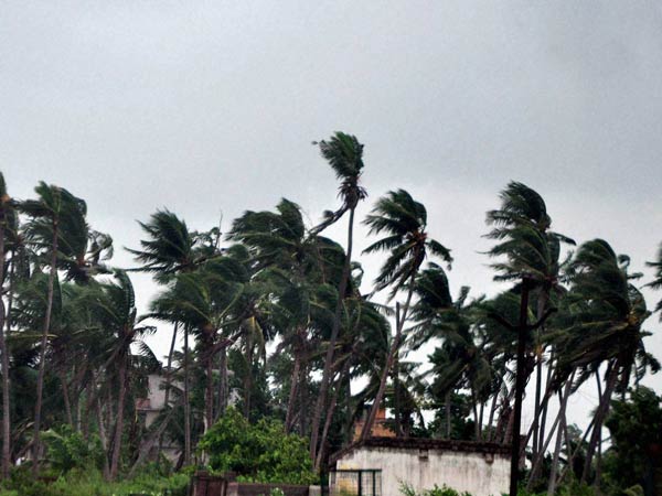 மழையோடு பலத்த காற்று