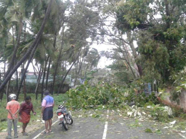 ரயில் போக்குவரத்து