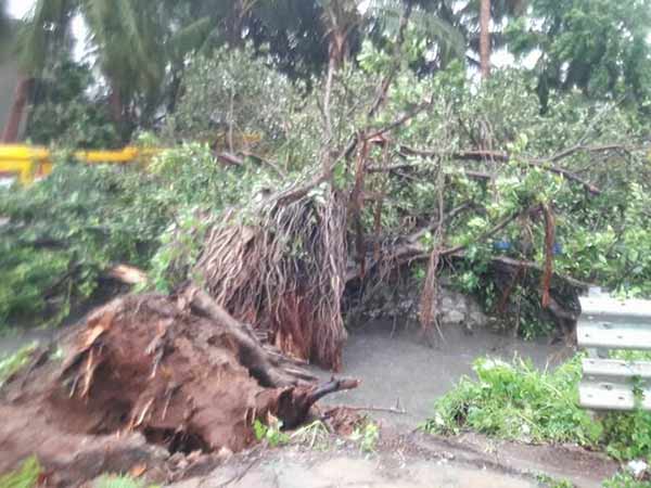 கேரள மாவட்டங்கள் 