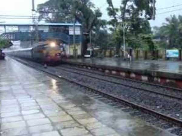 தண்டவாளங்களில் மரங்கள்