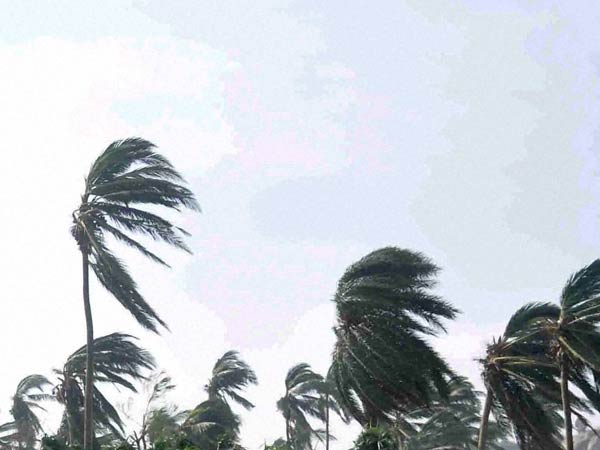சூறைக்காற்றுடன் மழை 