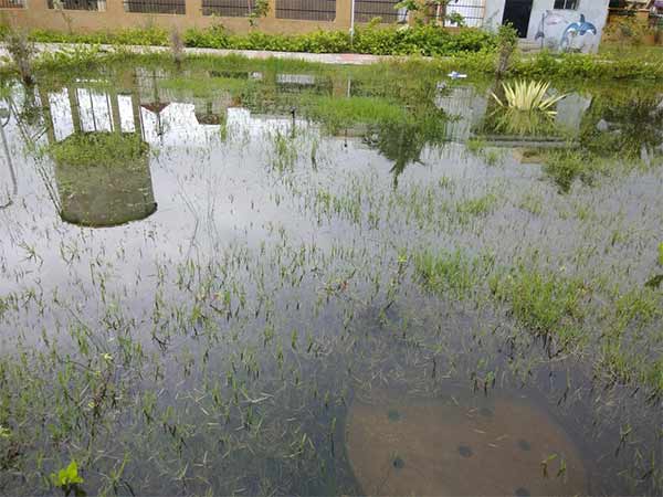 Holiday declared to districts schools due to heavy rain