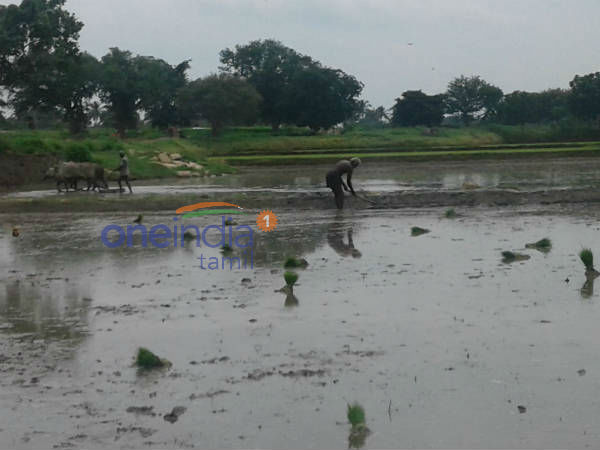A village escaped in the flood near in Nellai because of the prevention action A village escaped in the flood near in Nellai because of the prevention action