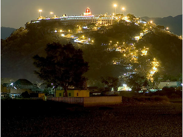 NativeSpecial.com selling original Panjamirtham in online 