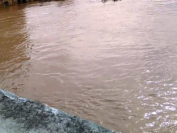 Tiruvannamalai Collector advised the people living on the banks of the Thenpennai river to be safe 