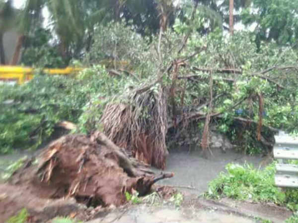 தீவிர மீட்புப் பணிகள் தீவிர மீட்புப் பணிகள்