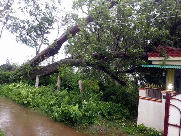 சர்வதேச புயல் எச்சரிக்கை மையம் சர்வதேச புயல் எச்சரிக்கை மையம்