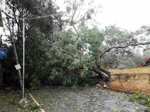 மக்கள் அச்சம் மக்கள் அச்சம்