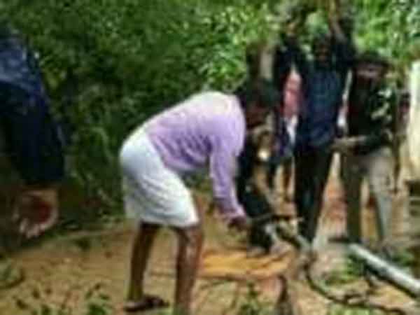 மின்சாரம் இல்லாமல் தவிப்பு 