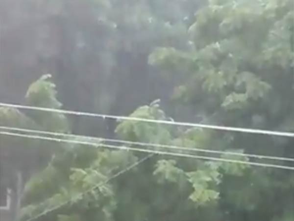 இடியுடன் கூடிய மழை 