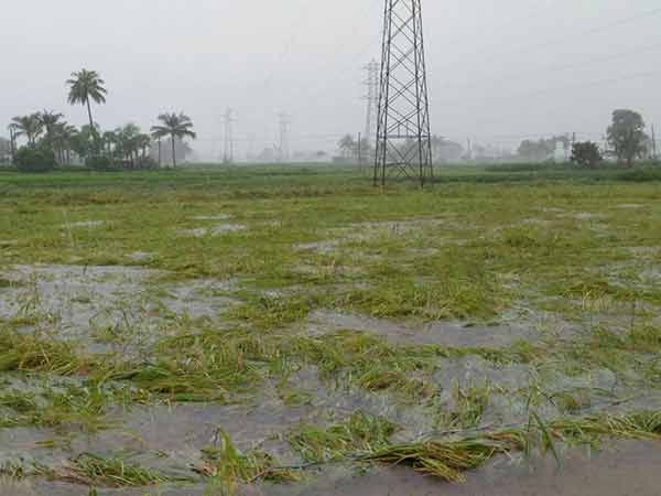  வேலை இழந்த விவசாயிகள்