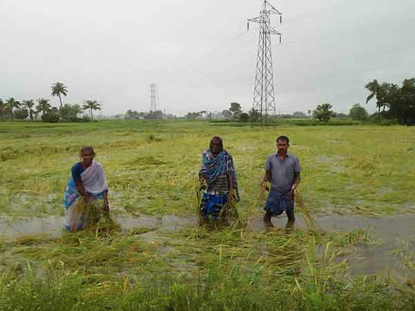  பயிர்க்கடன் ரத்து