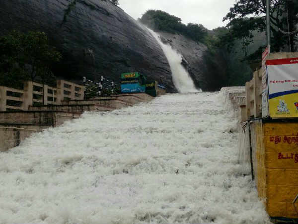 செல்ஃபி மட்டுமே