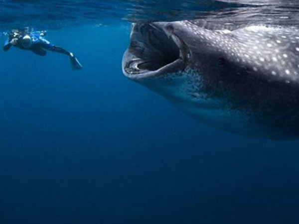 பலியாகும் இளைஞர்கள் 