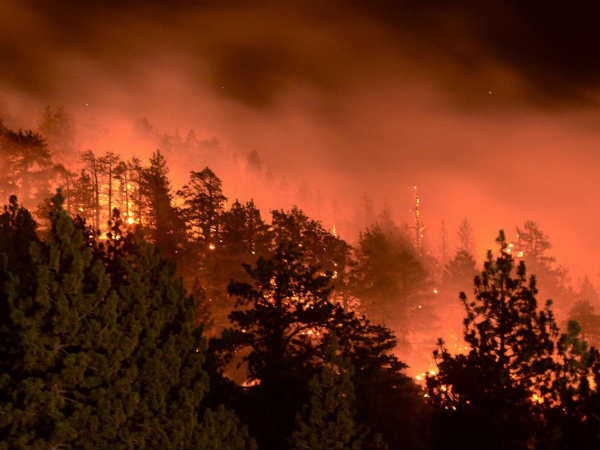 லாஸ் ஏஞ்சல்ஸில் காட்டுத் தீ லாஸ் ஏஞ்சல்ஸில் காட்டுத் தீ