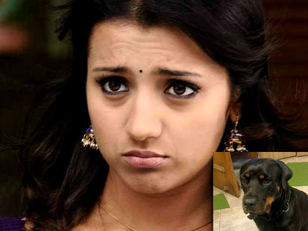 கண்டுபிடித்தால் பரிசு 