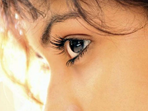 கண்களின் அமைப்பு கண்களின் அமைப்பு