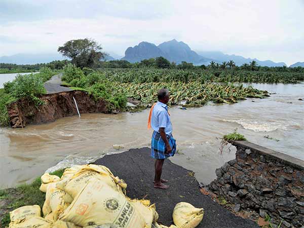 ரூ.100 கோடி செலவு 