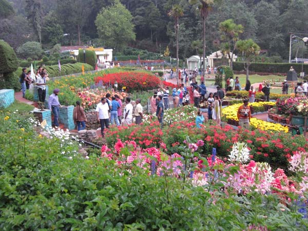 சிரமத்தில் சுற்றுலா பயணிகள் 