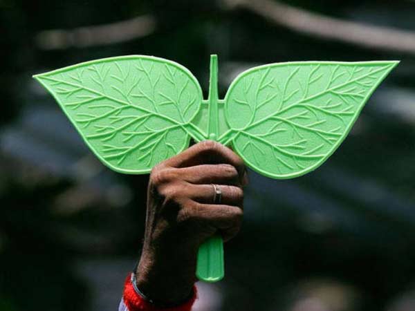 சுணக்கத்தில் இலை 