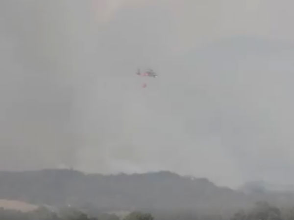 50,000 ஏக்கர் 