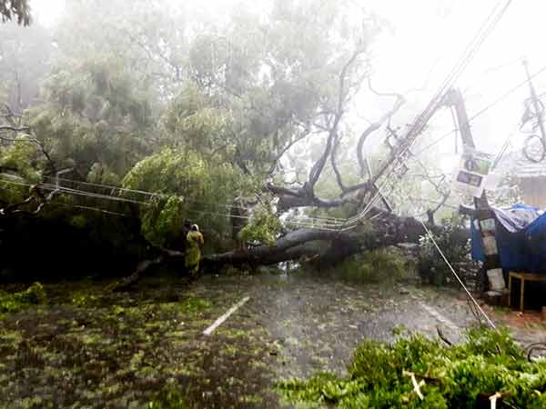 மக்கள் சந்தேகம்