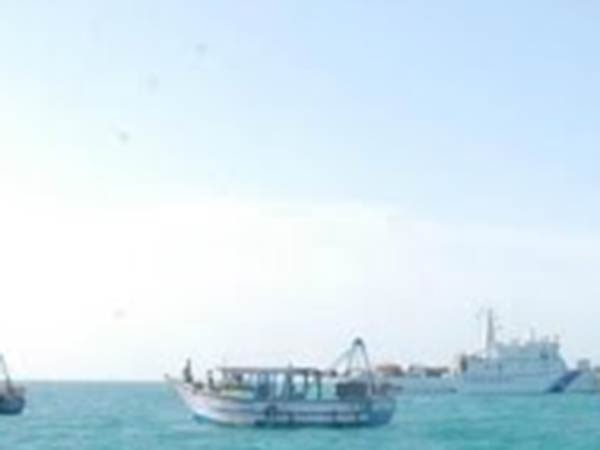 தாக்குவதே வாடிக்கை 