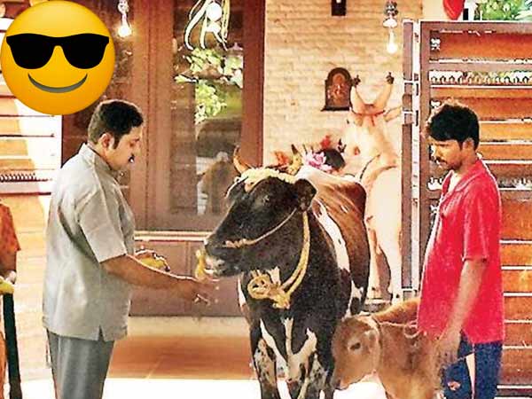 எவ்ளோ அடிச்சாலும் தாங்கும் விருது 