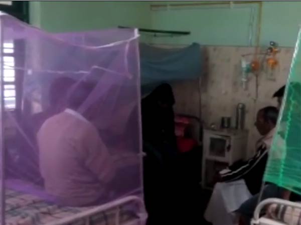 டெங்கு பாதிப்பு 