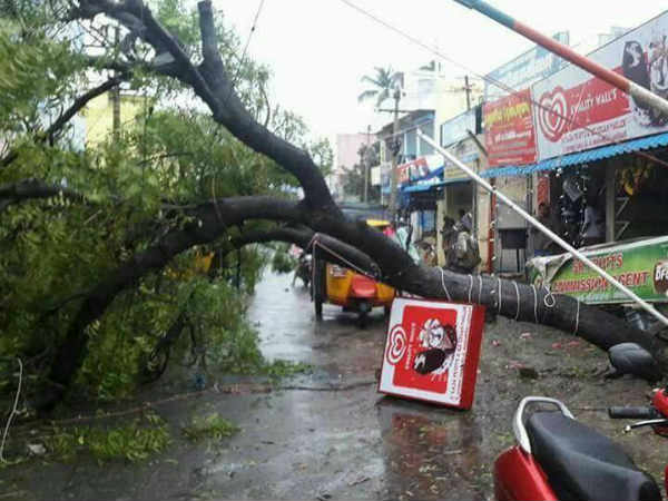 கன்னியாகுமரியில் ஆய்வு 