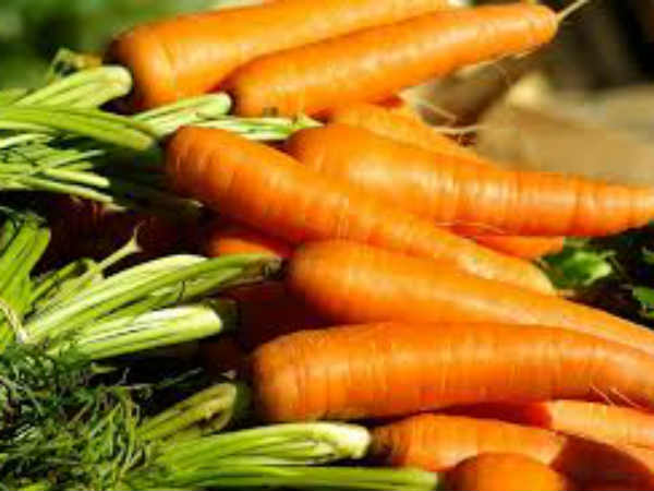 மூளையே பிரதானம்