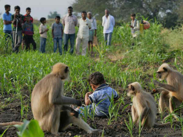  கிராம மக்கள் வியப்பு 
