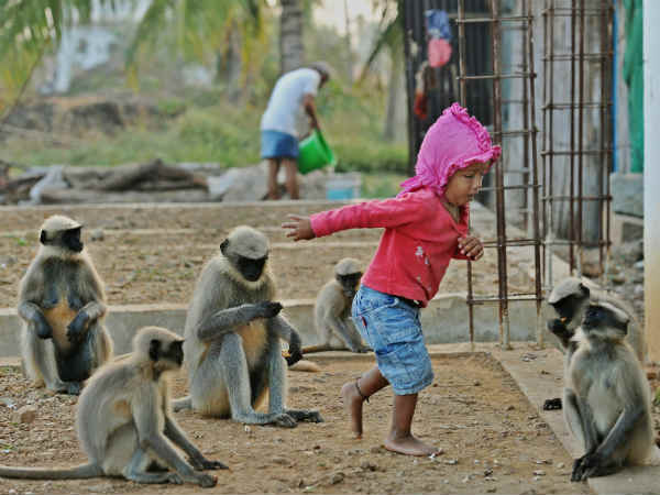  பாசப் பிணைப்பு 
