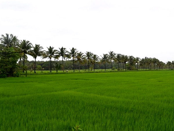 நிவாரணம் வழங்க கோரிக்கை