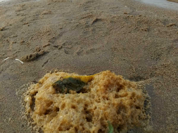 Exploring Odhisha, travel series - 11 Exploring Odhisha, travel series - 11