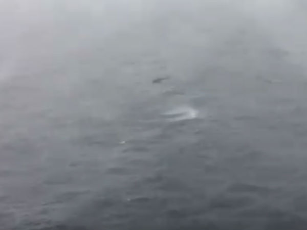 Indian Air Force Helicopter rescuing stranded fishermen at Sea Indian Air Force Helicopter rescuing stranded fishermen at Sea