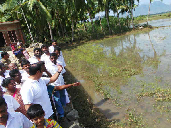 Anbumani Ramadoss talks about TN govt action on Ockhi storm 