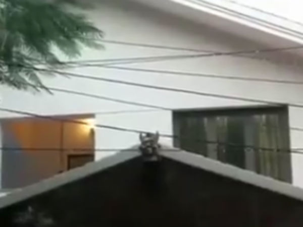 Income tax raid concluded at Ilavarasi's son law Karithikeyan house Income tax raid concluded at Ilavarasi's son law Karithikeyan house