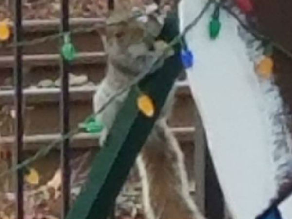 விளக்கம் 