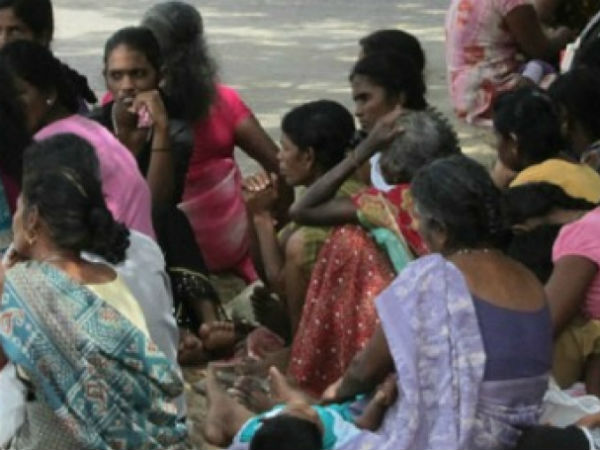 SriLankan War leads to high number of Widows without any life support SriLankan War leads to high number of Widows without any life support